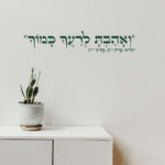 הדמיה 1216