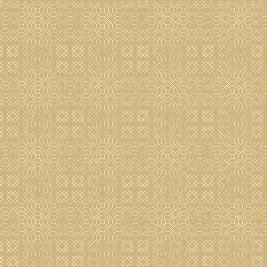 23234