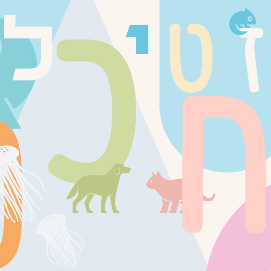 פקשוט2